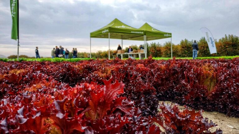 Έναρξη του διήμερου Field Day της Syngenta