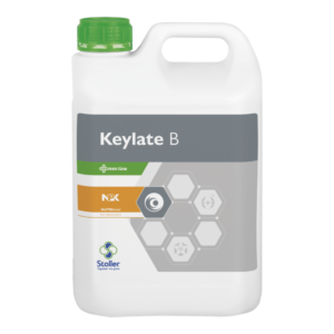 Keylate B 5lt