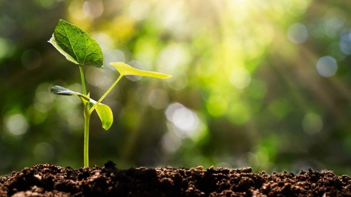 Biopesticides & Βιοδιεγέρτες – Τι είναι και ποια η χρήση τους στη γεωργία?