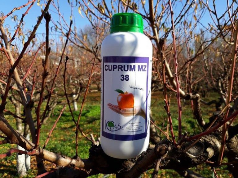 Cuprum MZ 38: Αποκαλύπτει τη δύναμη του χαλκού