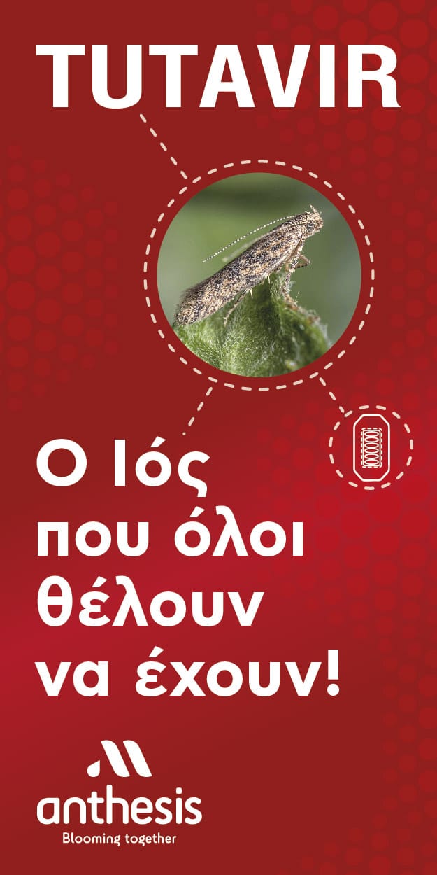 Tutavir – Ο Ιός που όλοι θέλουν να έχουν!